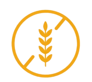 sin gluten Cantina Sputnik Legazpi